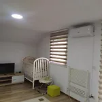 House *