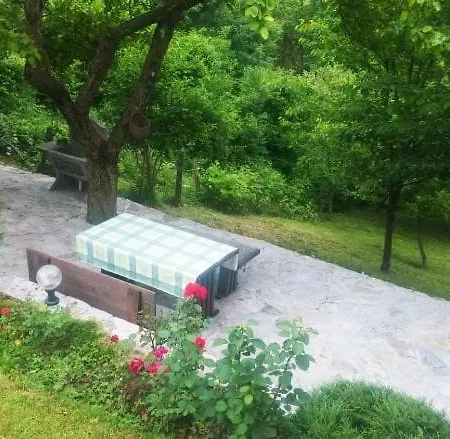 Дом отдыха House *